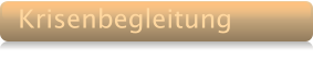 Krisenbegleitung