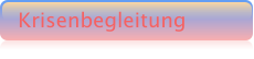 Krisenbegleitung