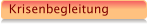 Krisenbegleitung