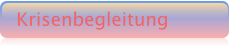 Krisenbegleitung