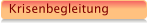 Krisenbegleitung